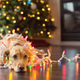 iStock